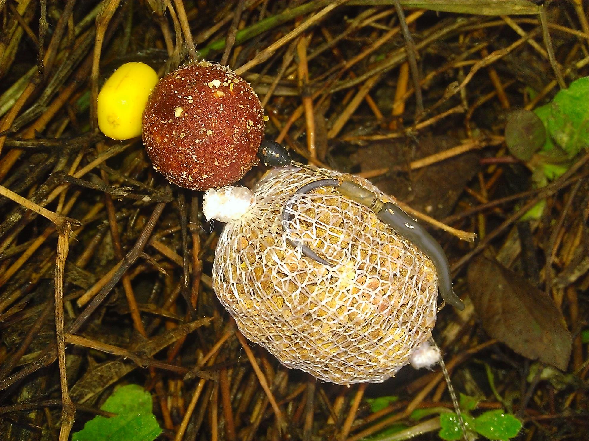 Magura 9 23 - 23 nov. - 19a.jpg